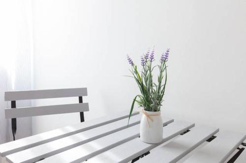 Domus Merulana Bed & Breakfast Rome